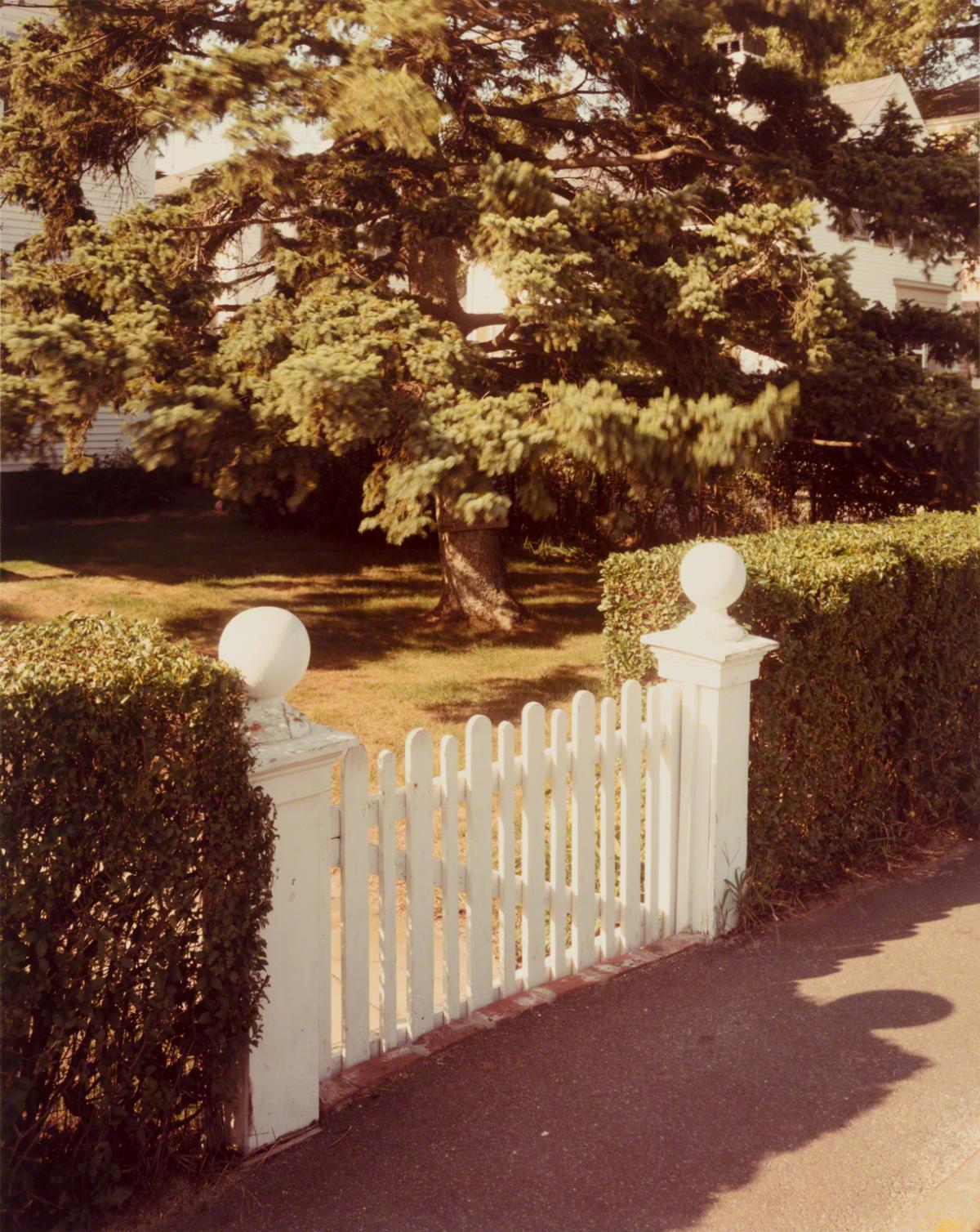 Joel Meyerowitz, Gate, Provincetown, 1983.