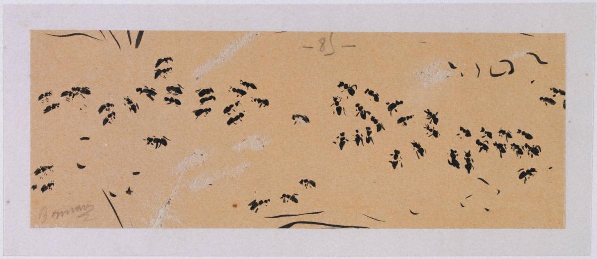 Pierre Bonnard | The Phillips Collection