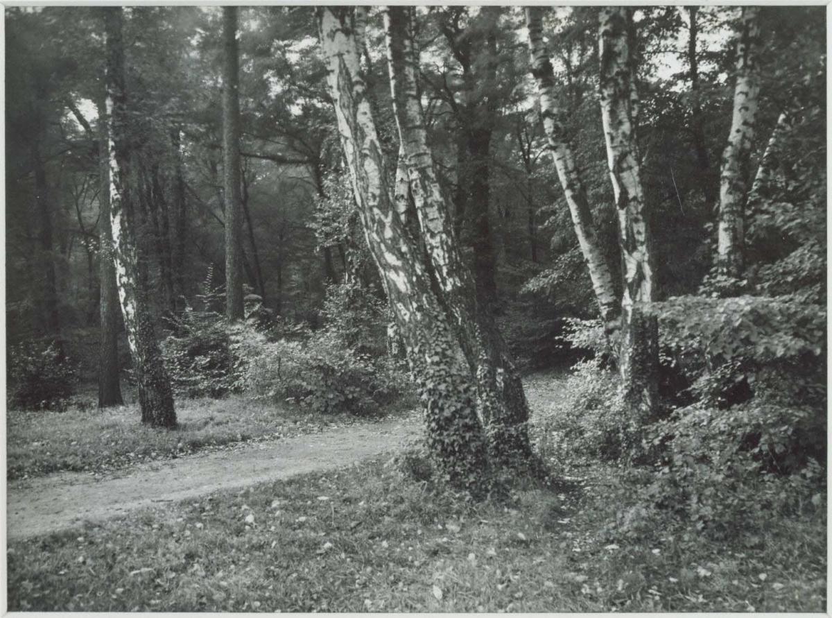 【Mr.frea 】August Sander August Sander. The Art Scholar [Wilhelm Schäfer]. 1926 | MoMA