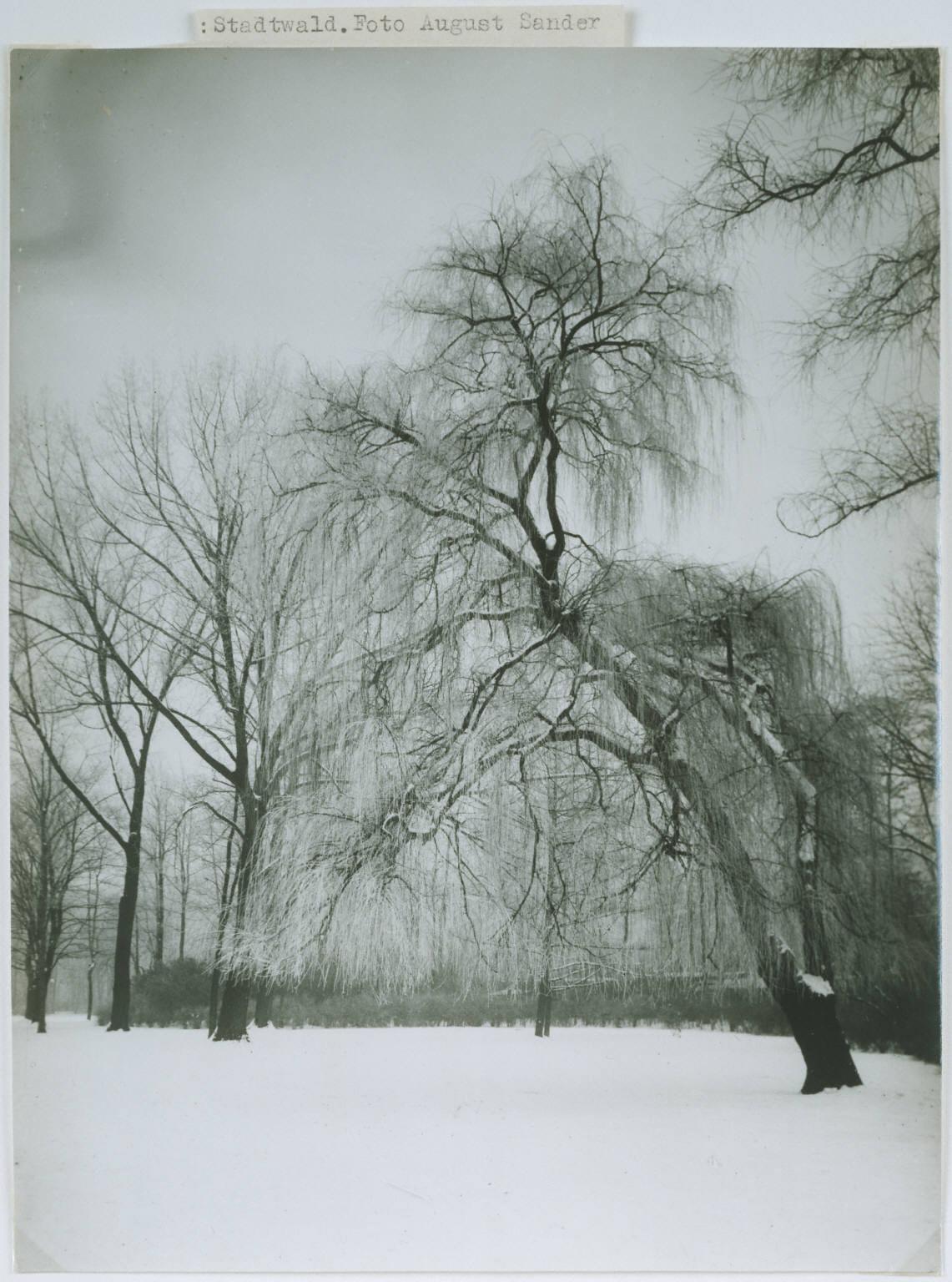 August Sander | The Phillips Collection