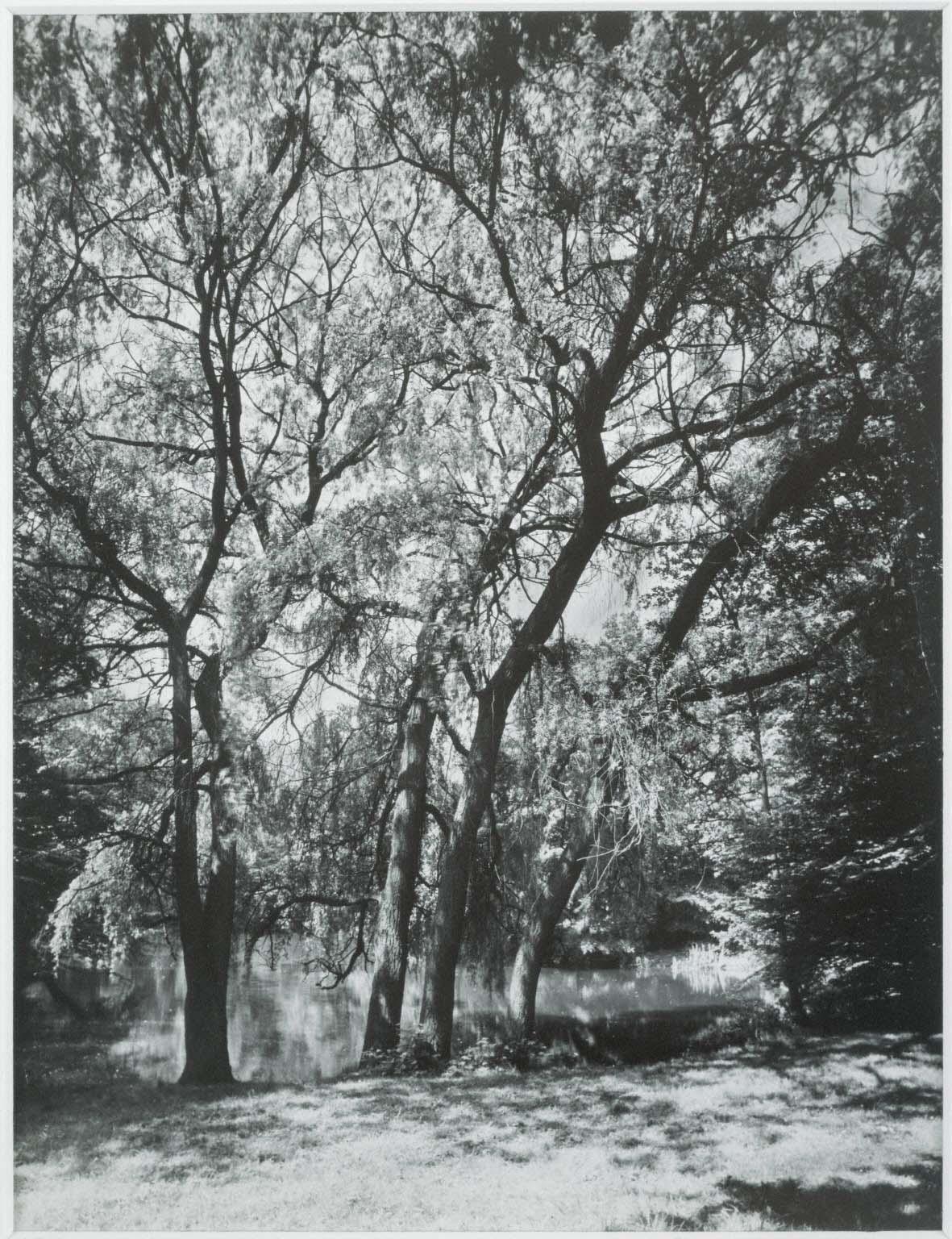 August Sander | The Phillips Collection