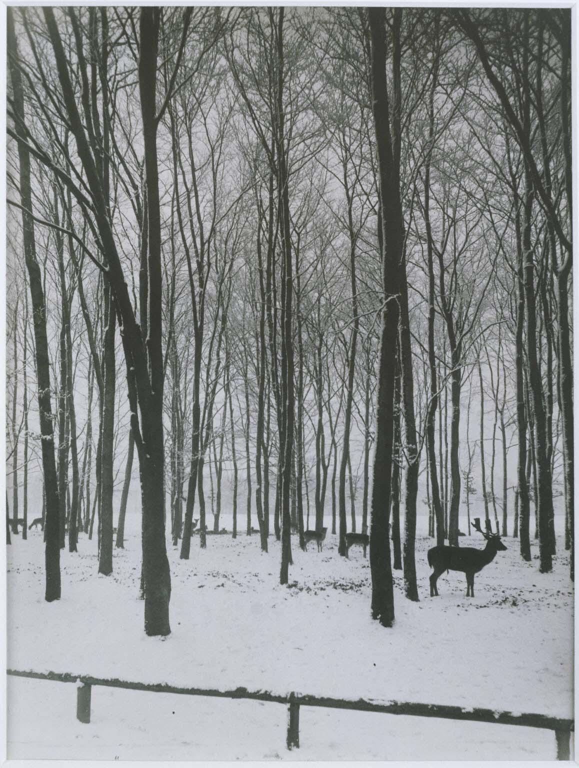 August Sander | The Phillips Collection