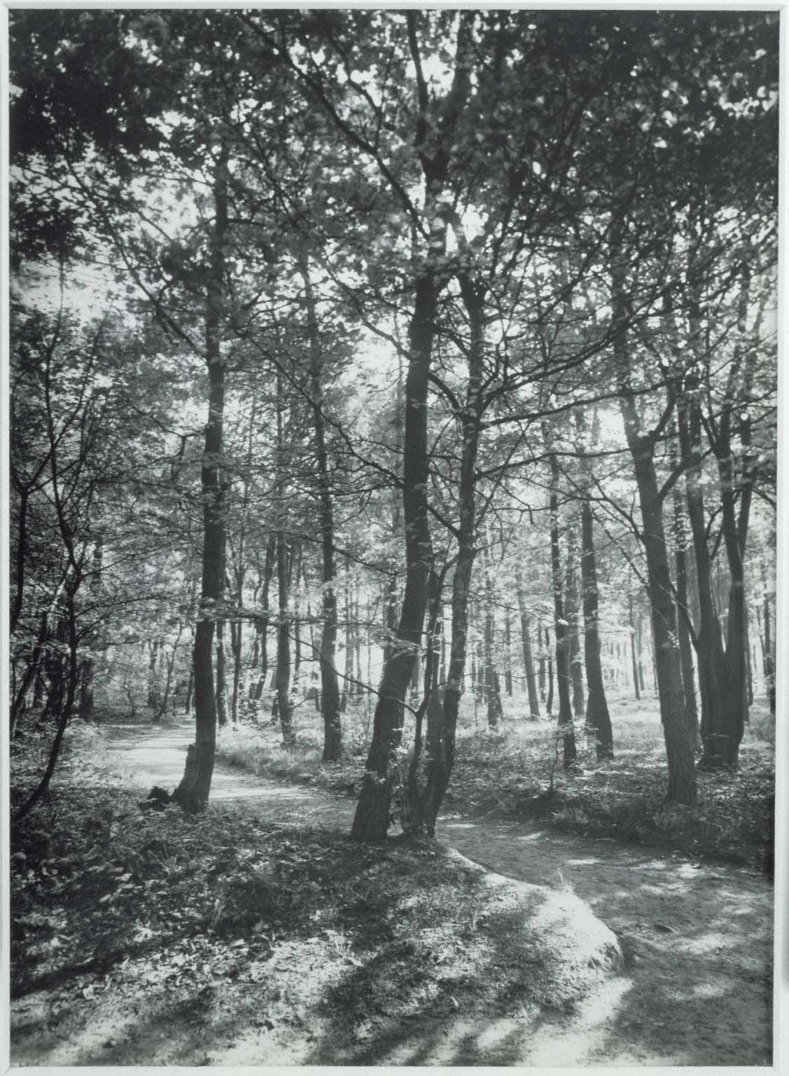 August Sander | The Phillips Collection