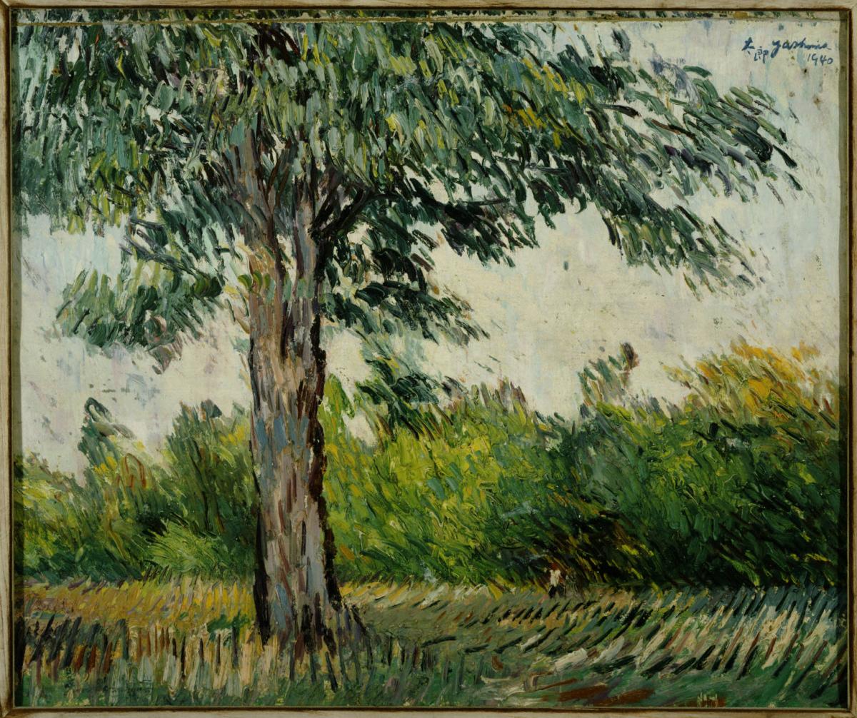 Tree | The Phillips Collection
