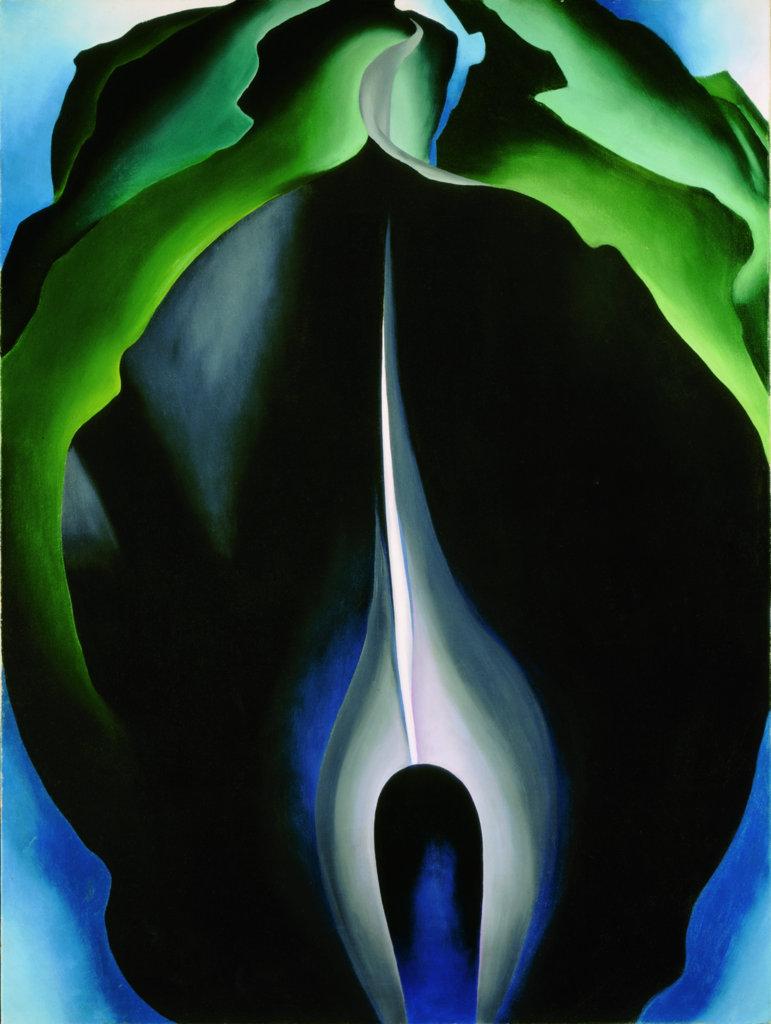 Georgia OKeeffe, Jack in the Pulpit No.IV, 1930 Georgia OKeeffe, Jack in the Pulpit No.IV, 1930