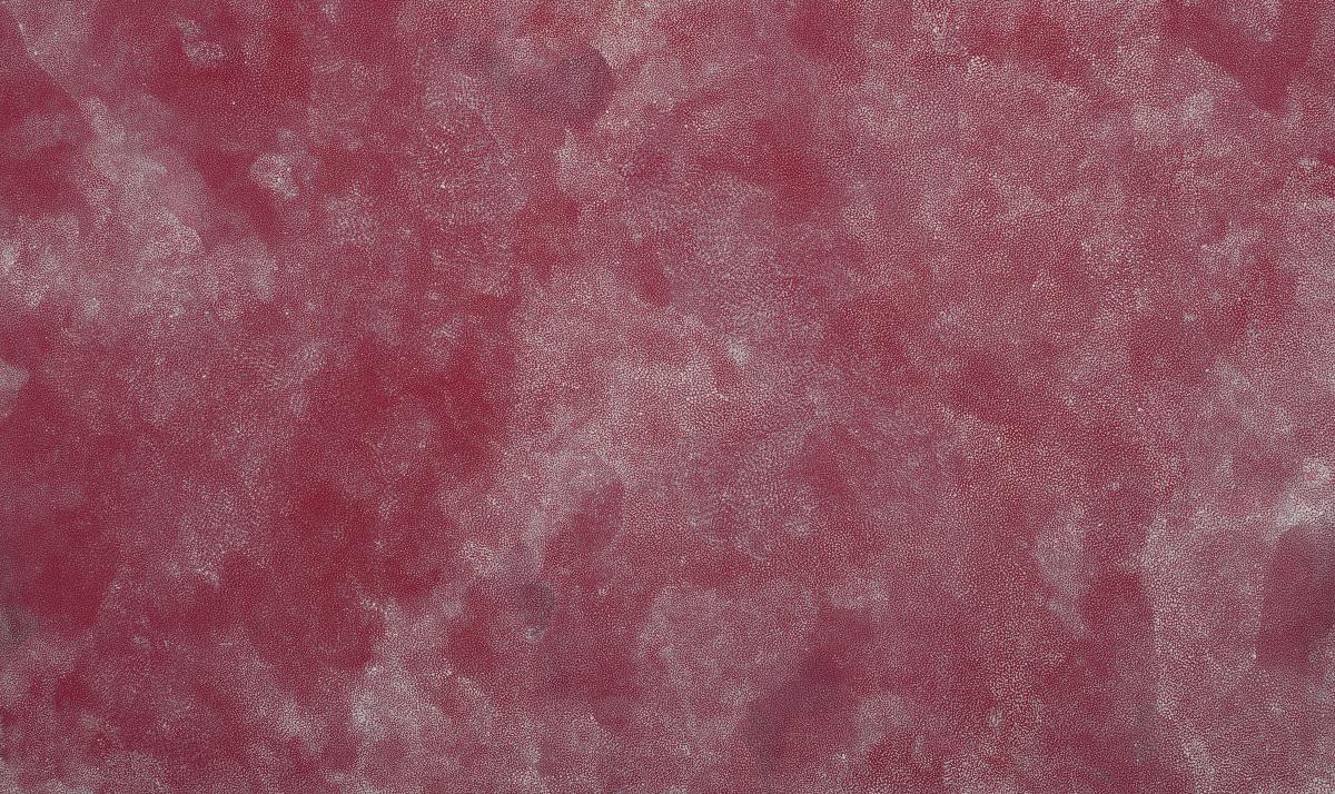 Angelina Pwerle_Bush Plum_2010.jpg image for 2018-09-06-phillips-after-5