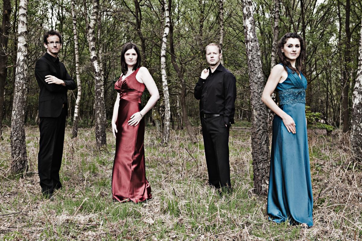 Carducci 3.jpg image for 2015-11-15-sunday-concerts-carducci