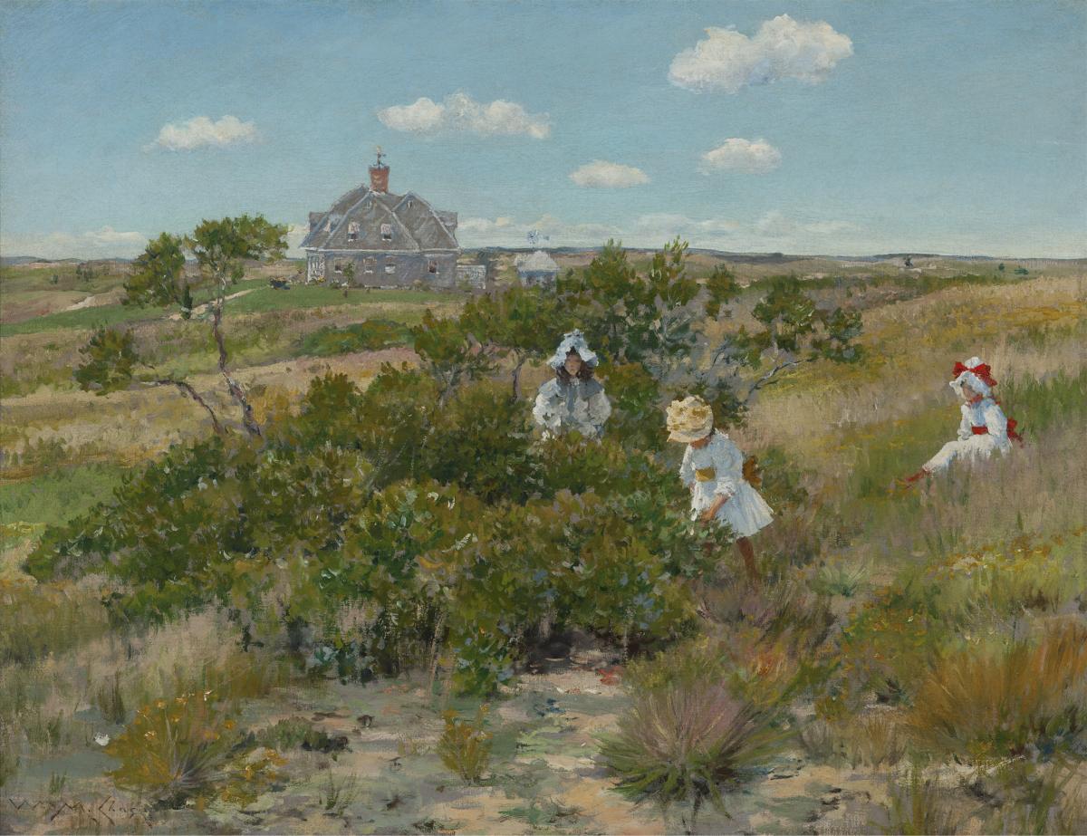 Chase_The Big Bayberry Bush.jpg image for 2016-07-07-phillips-after-5