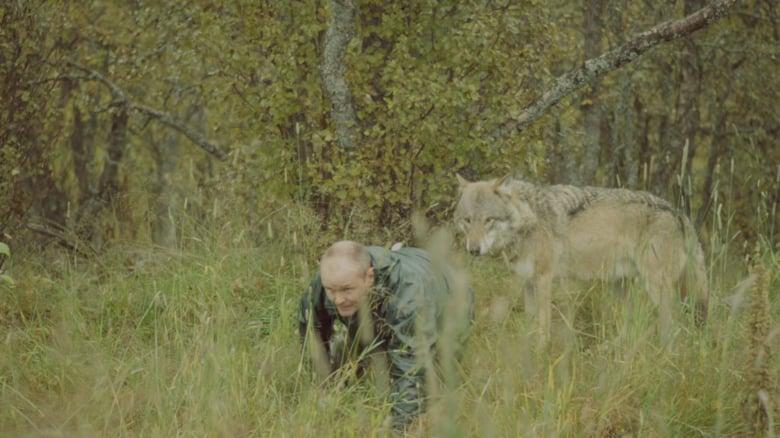 HumanWild-MartheThorshaug.jpg image for 2018-11-15-film-screening