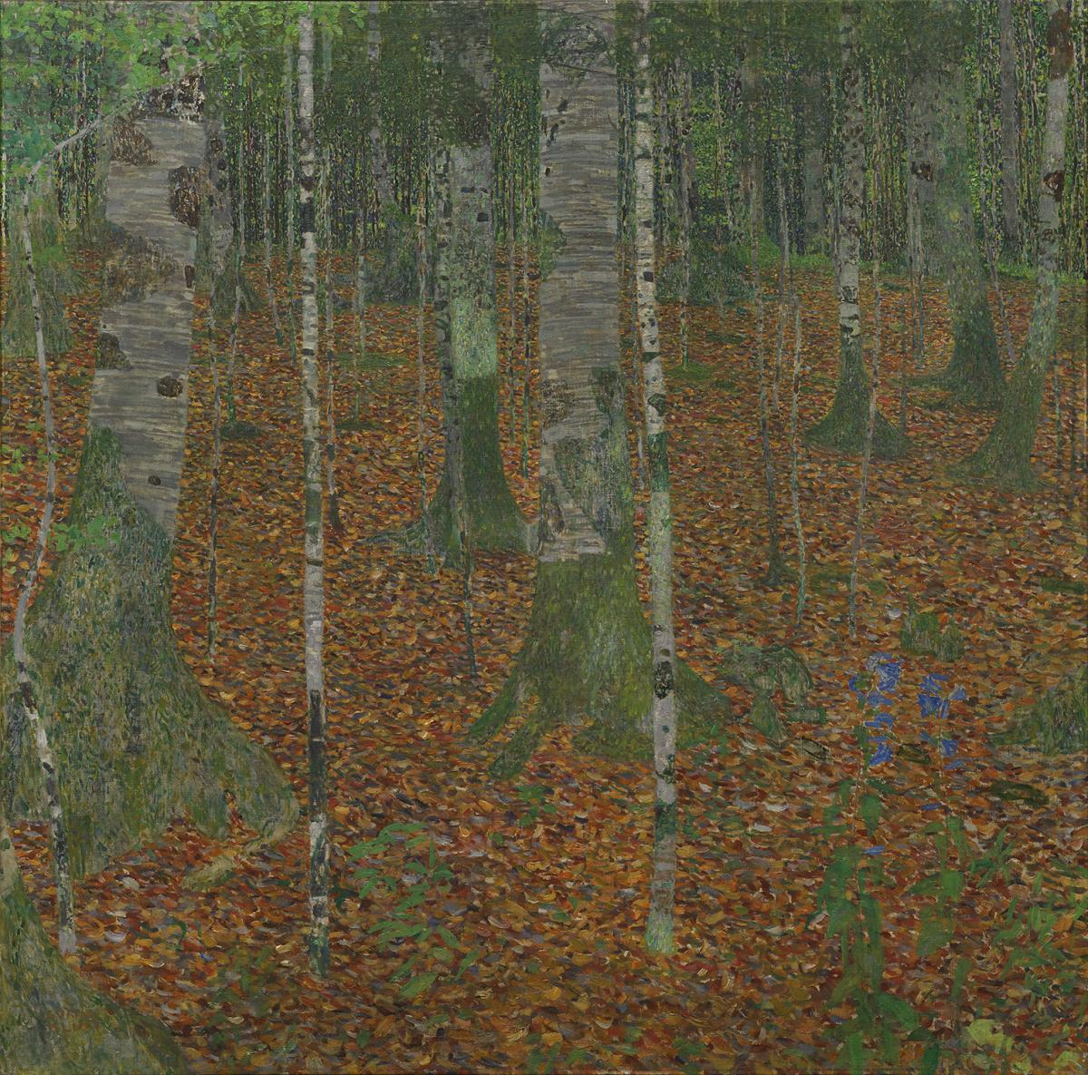 Klimt_Birch_Forest.jpg image for 2016-02-06-exhibition-seeing-nature