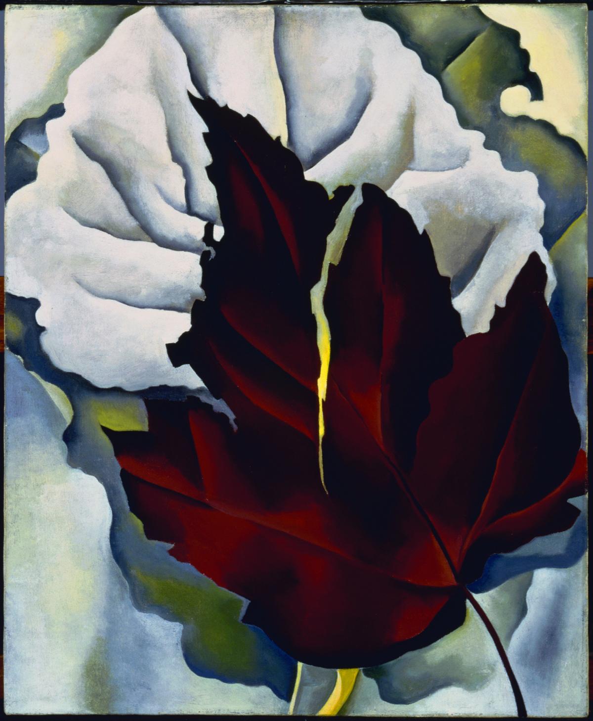 O'Keeffe_Pattern.jpg image for 2020-06-23-family-program