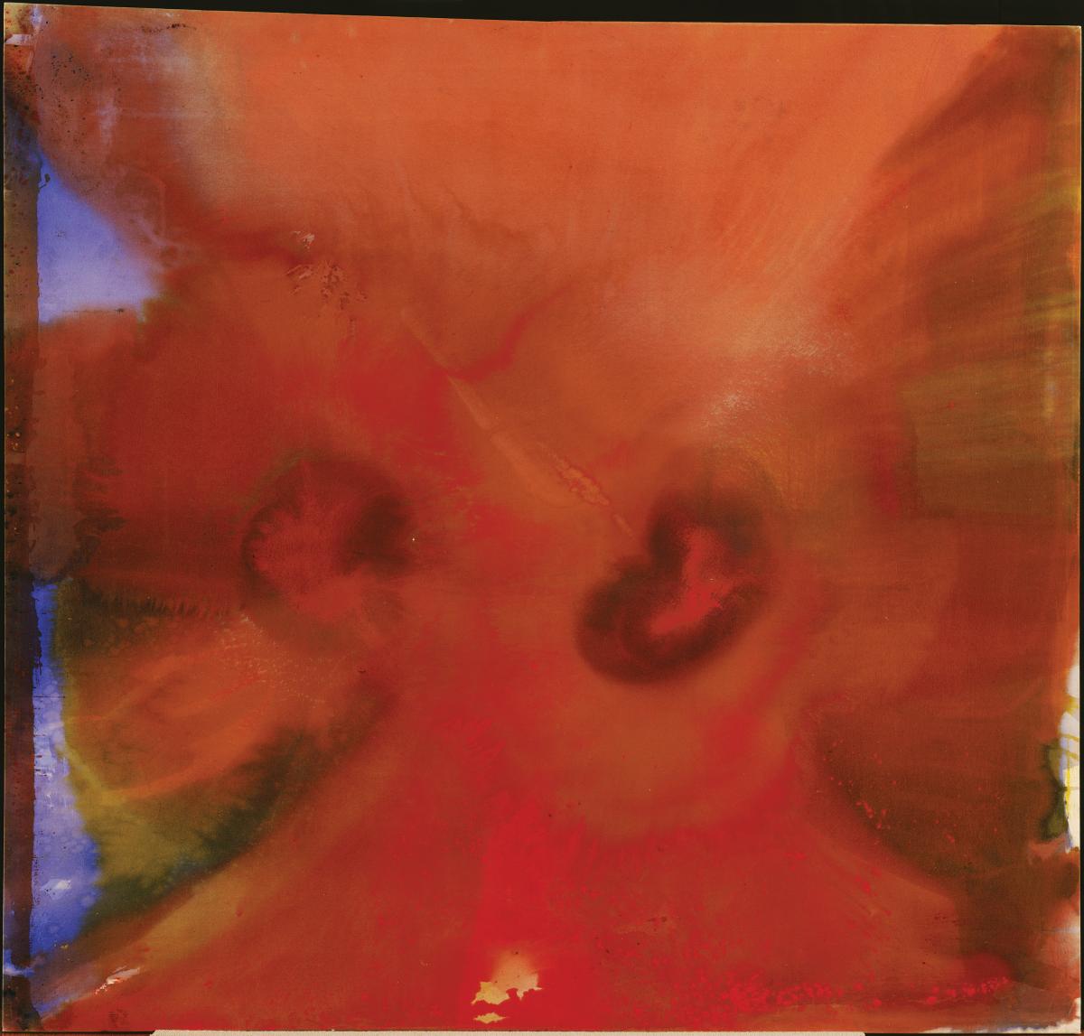 high res red petals.jpg image for 2020-07-29-guided-meditation
