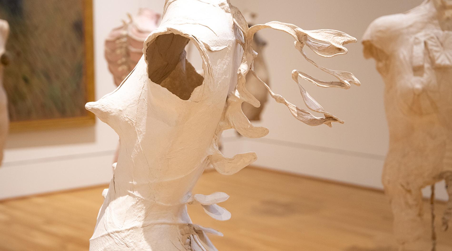 Photograph of paper sculptures of abstract female torsos hanging in gallery