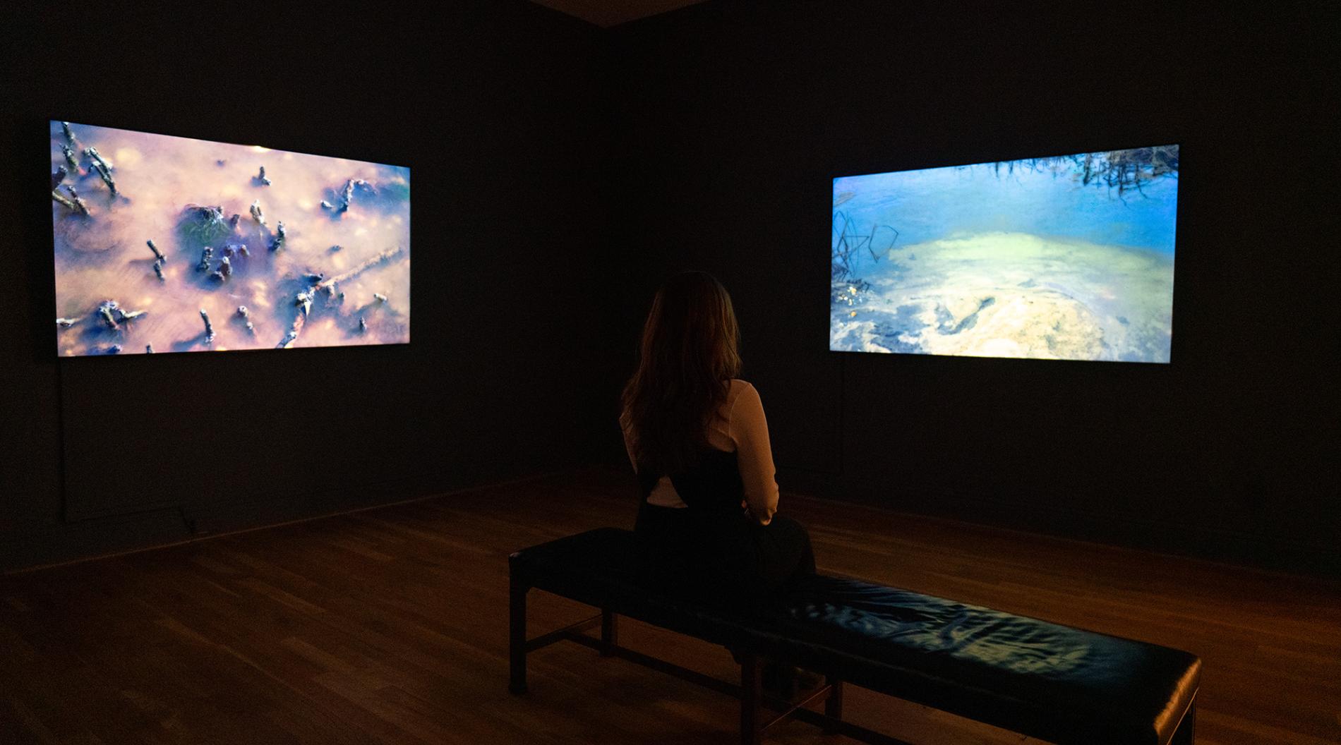 a person looking at peter campus there somewhere videos