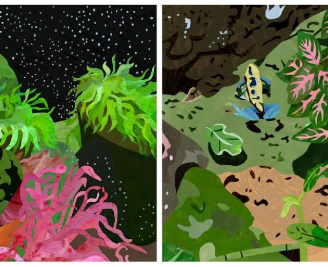 Collage of four artworks depicting aquatic life