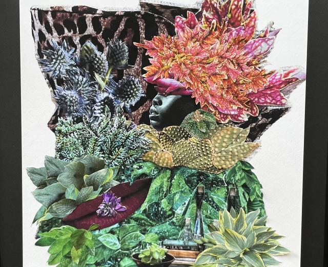 Collage of various color plants and a face peaking out