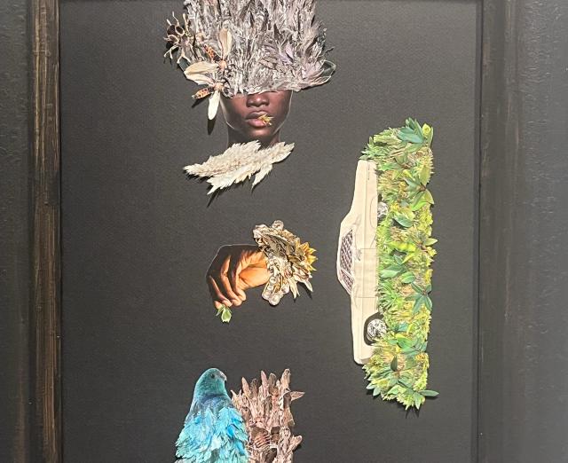 Collage on a black background in a black frame