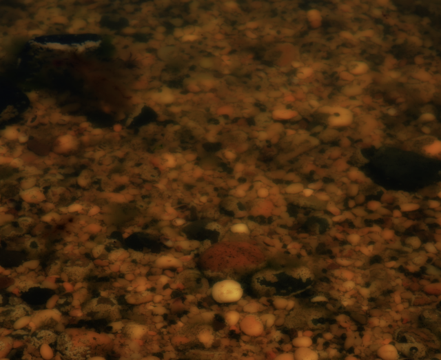 peter campus, there somewhere (video still), 2023. Videograph. 10:22 minute loop; Courtesy of the artist and Cristin Tierney Gallery