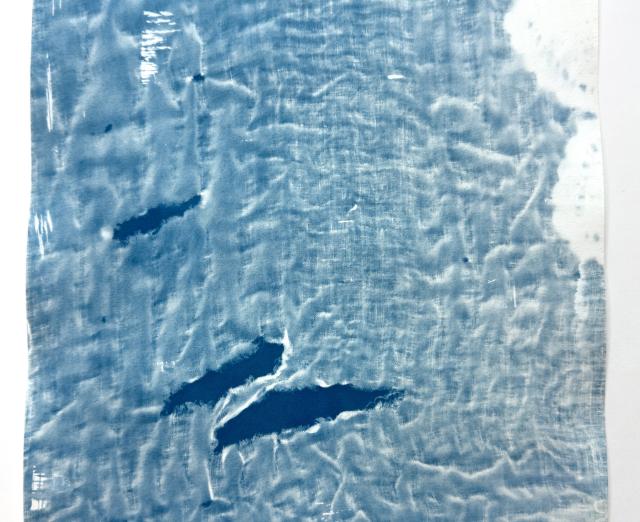 Cyanotype fluid on paper 
