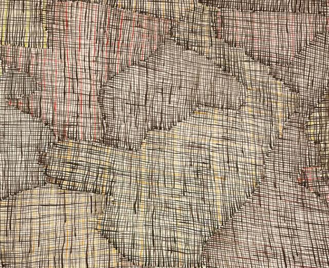 Detail of Regina Pilawuk Wilson's "Syaw (Fishnet)"