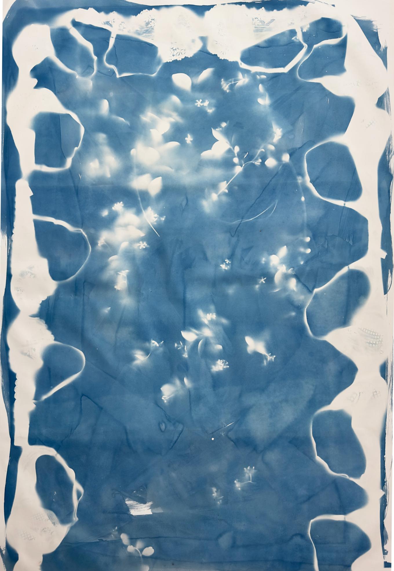 Cyanotype fluid on paper 