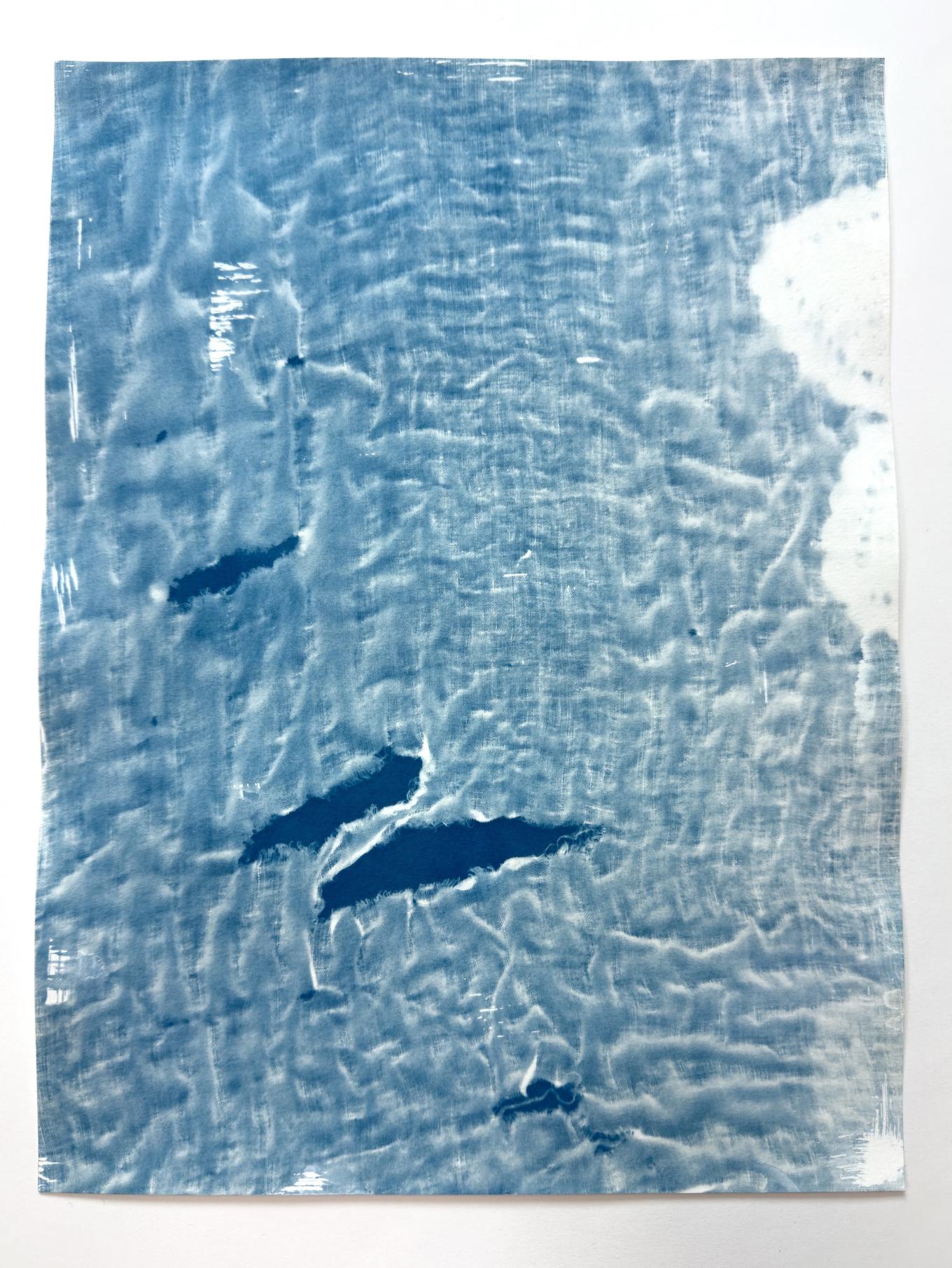 Cyanotype fluid on paper 