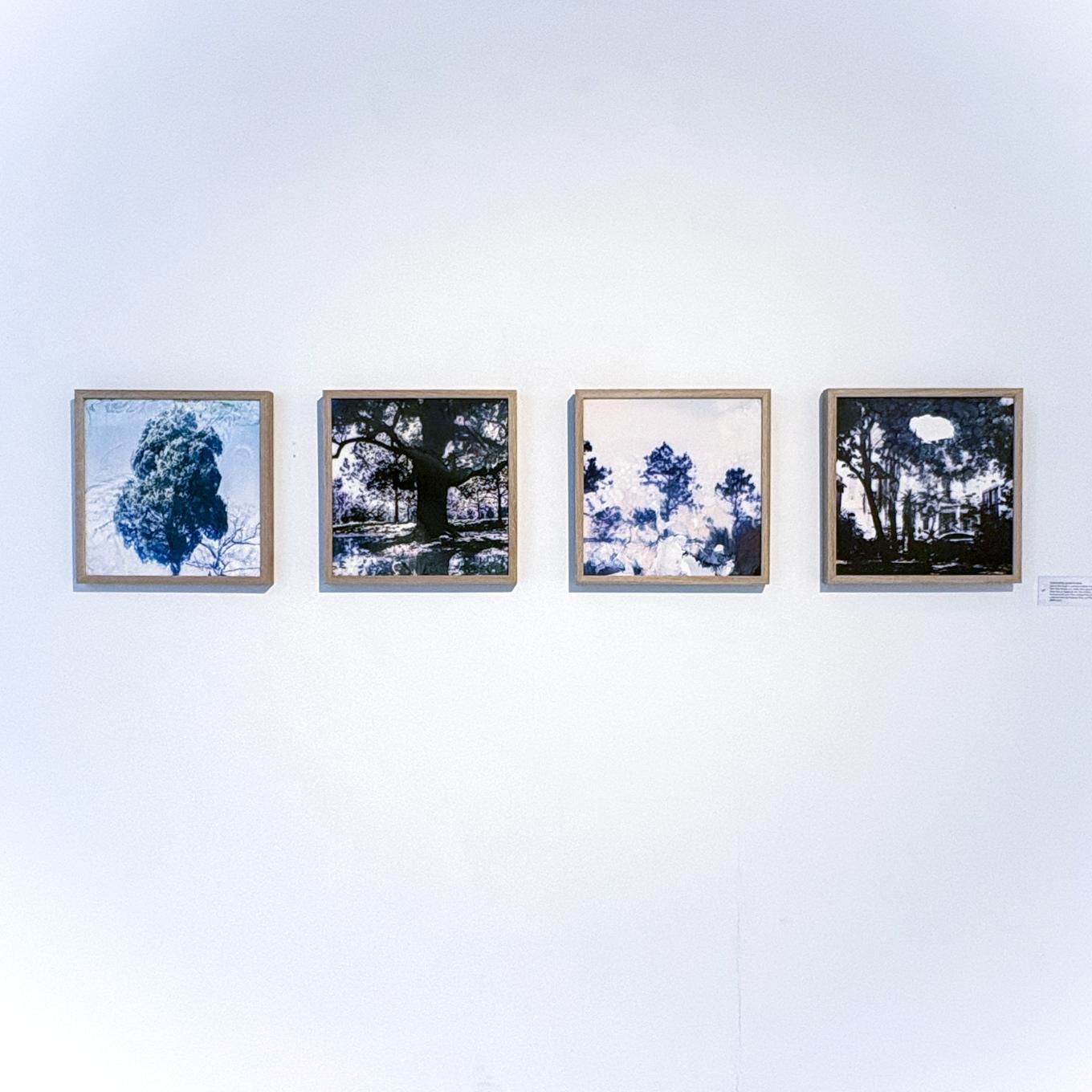 For framed photographs of trees displayed on a wall