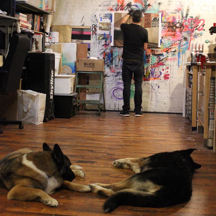 Kelly Towles and dogs