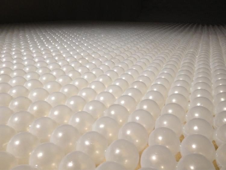 Raise Raze installation_Lauren Griffin_1