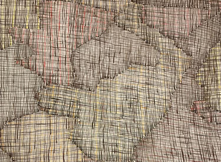 Detail of Regina Pilawuk Wilson's "Syaw (Fishnet)"