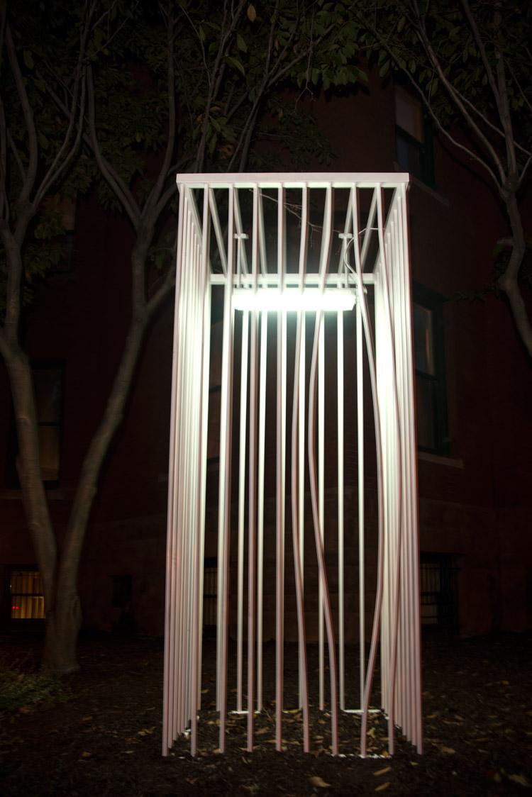 Roig at night_white cage