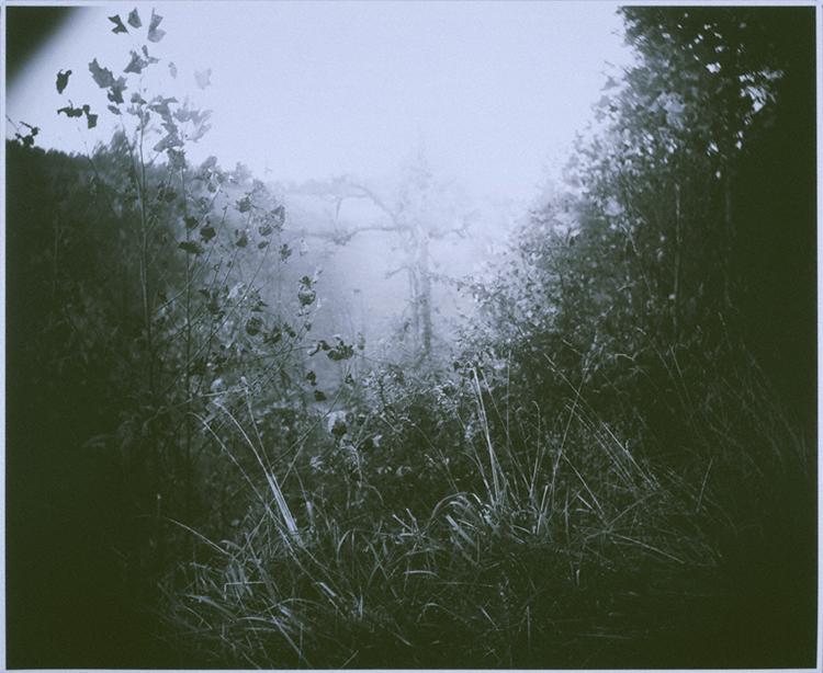 Sally Mann_Untitled