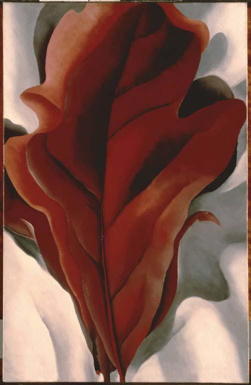 Georgia O'Keeffe, "Large Dark Red Leaves on White"; 1925, Oil on canvas, 31 x 21 in., The Phillips Collection, Acquired 1943; © 2008 The Georgia OâKeeffe Foundation/Artists Rights Society (ARS), New York.
