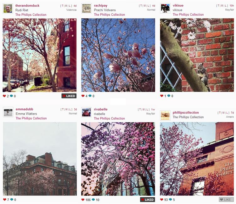Instagram floral photos