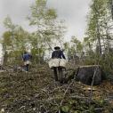 Sarah Anne Johnson, Guy and Graydon (Tree Planting project), 2003.