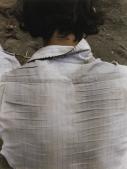Sarah Anne Johnson, Neck Ring (Tree Planting project), 2004.