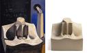 Julius Caesar_mathematical model pairing