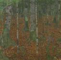 Klimt_Birch_Forest.jpg image for 2016-02-06-exhibition-seeing-nature