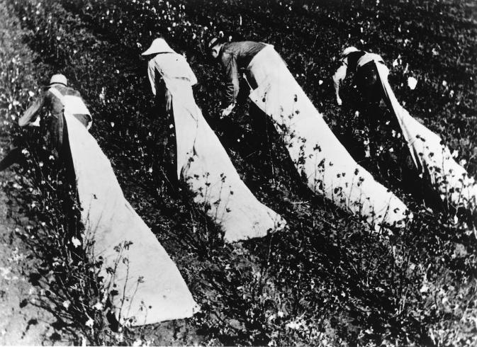 Black and white film still of cotton-field workers picking cotton in the fields
