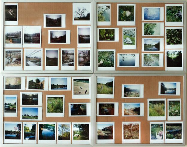 An assortment of instant photographs of ponds, gardens, and nature.