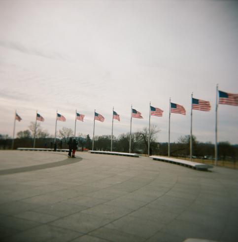 Image of eleven American Flags fully hoisted 