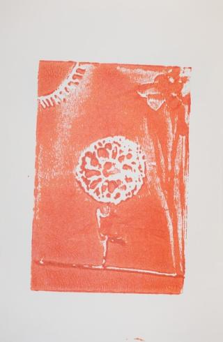 Orange print of a flower under the sun.