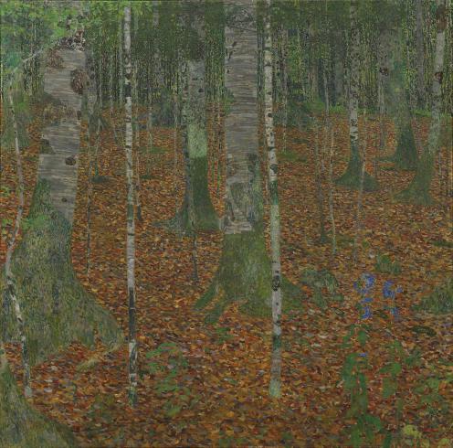 Birch Forest