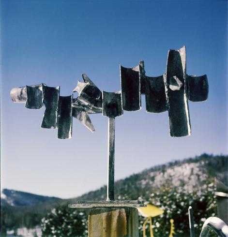 Bouquet of Concaves as photographed by David Smith at Bolton Landing