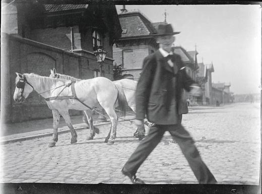 Horses and a passerby on Cruquiusweg
