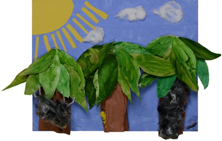 Rainforest Canopy from Ms. Wilkins’s kindergarten class