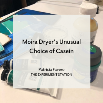 Moira Dryer's Unusual Choice of Casein blog promo