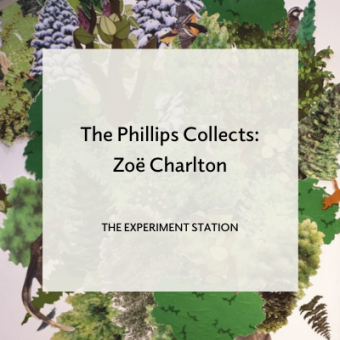 Zoe Charlton blog promo