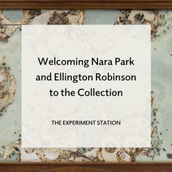Nara Park and Ellington Robinson blog promo