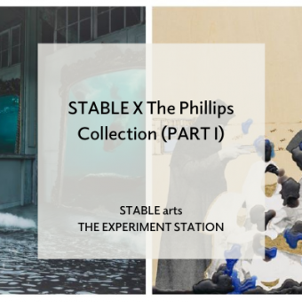 STABLE X The Phillips Collection (Part I)